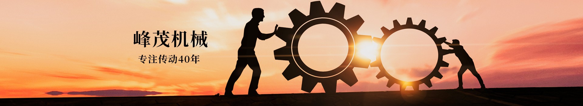 東莞市峰茂機(jī)械設(shè)備有限公司，專(zhuān)注齒條齒輪傳動(dòng)40年